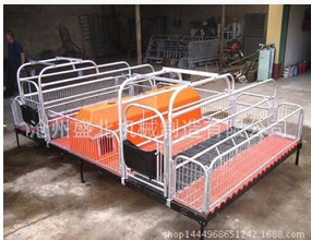 优质保育栏高培保育栏图3
