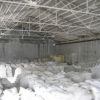 货源地批发重钙药用工业滑石粉超细特级质量