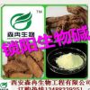 中药提取锁阳碱98%/锁阳提取物/锁阳生物碱 泡酒专用提取原料