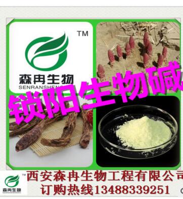 中药提取锁阳碱98%/锁阳提取物/锁阳生物碱 泡酒专用提取原料图2