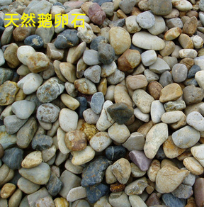 景观鹅卵石图3