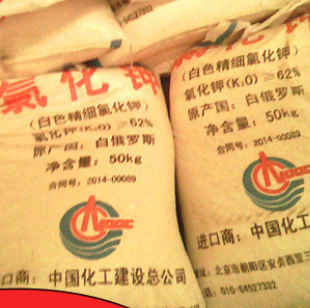 进口俄罗斯氯化钾图2