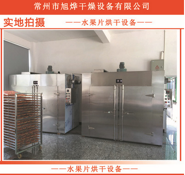 专用不锈钢电加热热风循环干燥机图3