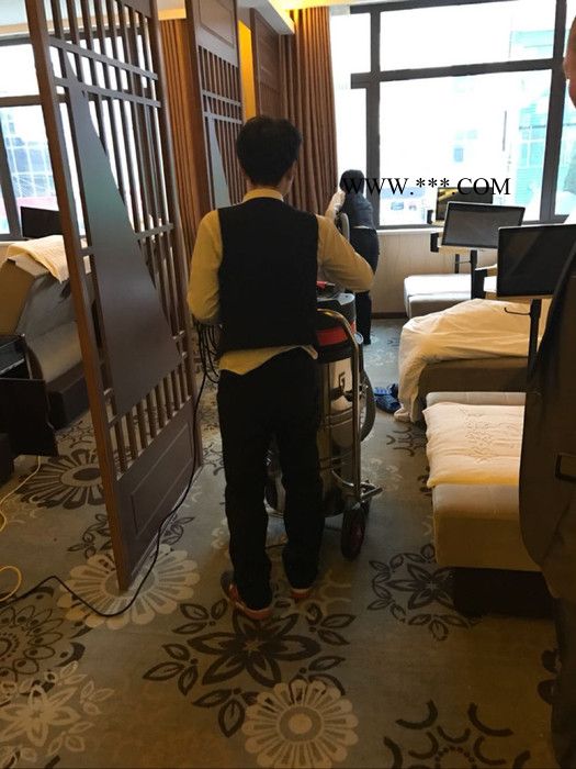 威德尔WX-3078BA 车间地面用吸尘器移动式干湿两用吸铝粉尘用吸尘机图2