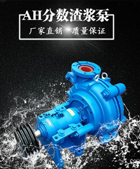 3/2C-AH分数渣浆泵 高铬合金耐磨抽沙泵 悬臂式细沙机回收泵 尾矿回收泵 铁粉泵图4
