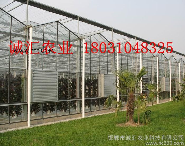 供应 玻璃温室四周中空玻璃+阳光板顶 寿命长的温室