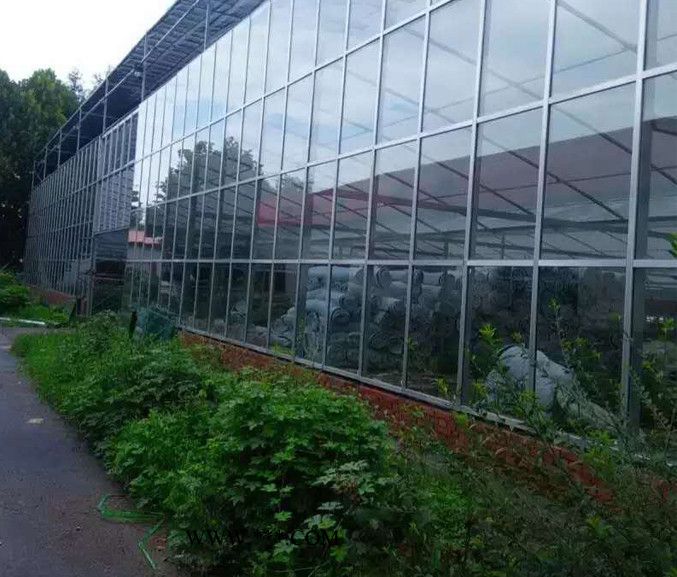 玻璃温室 薄膜温室 江西温室 中空玻璃温室  温室设计图1