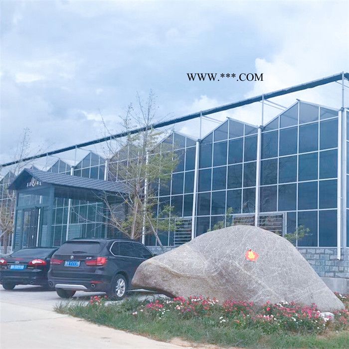 新疆连栋玻璃温室大棚施工经验丰富 物联网智能温室采用双层中空玻璃图4