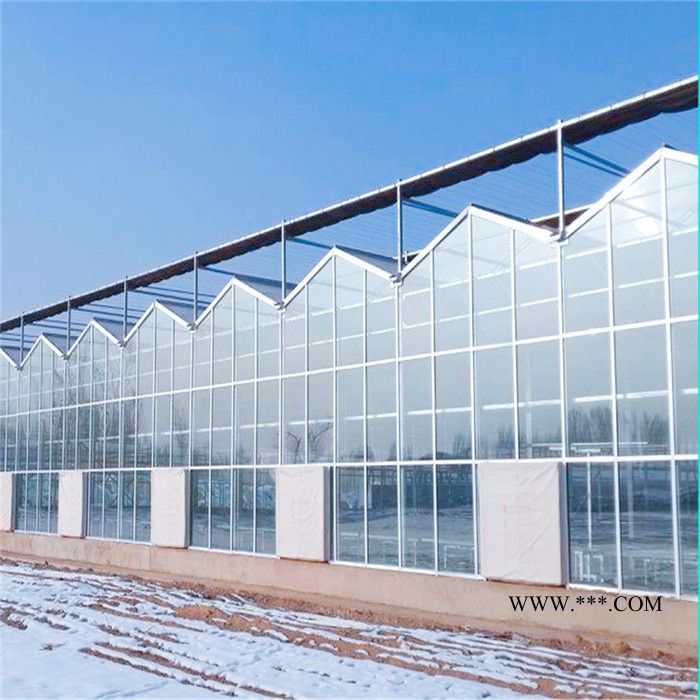 新疆连栋玻璃温室大棚施工经验丰富 物联网智能温室采用双层中空玻璃图6
