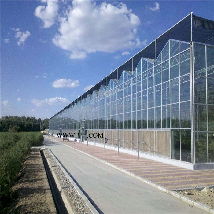 新疆连栋玻璃温室大棚施工经验丰富 物联网智能温室采用双层中空玻璃图3