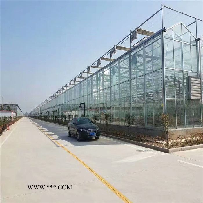 新疆连栋玻璃温室大棚施工经验丰富 物联网智能温室采用双层中空玻璃图2
