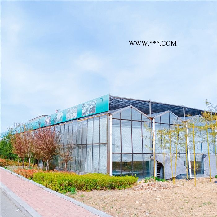 新疆连栋玻璃温室大棚施工经验丰富 物联网智能温室采用双层中空玻璃图5