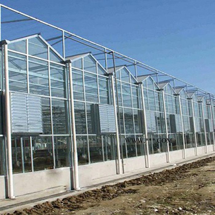 鑫宝金1 连栋智能玻璃温室 育苗温室 花卉温室 钢化中空玻璃大棚 温室实体厂家