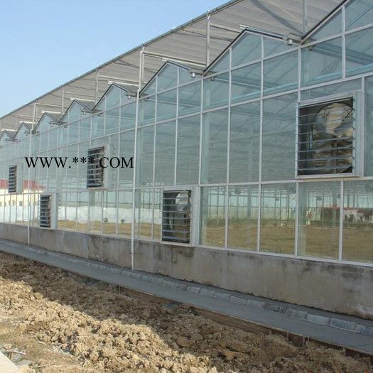 优良设计  玻璃智能温室工程 采摘温室大棚 双层中空玻璃覆盖图4