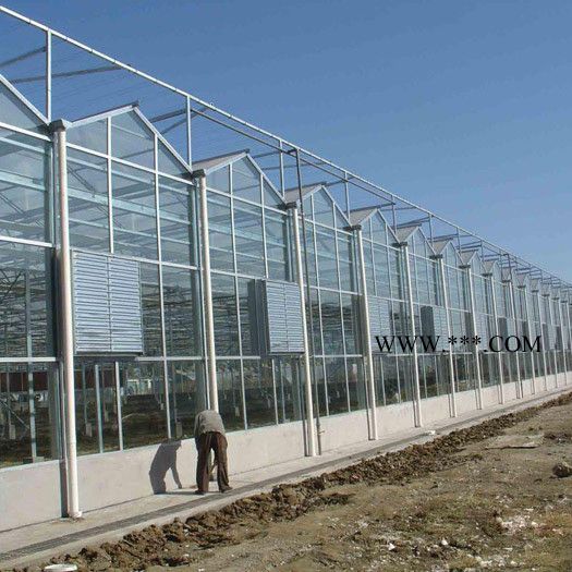 优良设计  玻璃智能温室工程 采摘温室大棚 双层中空玻璃覆盖
