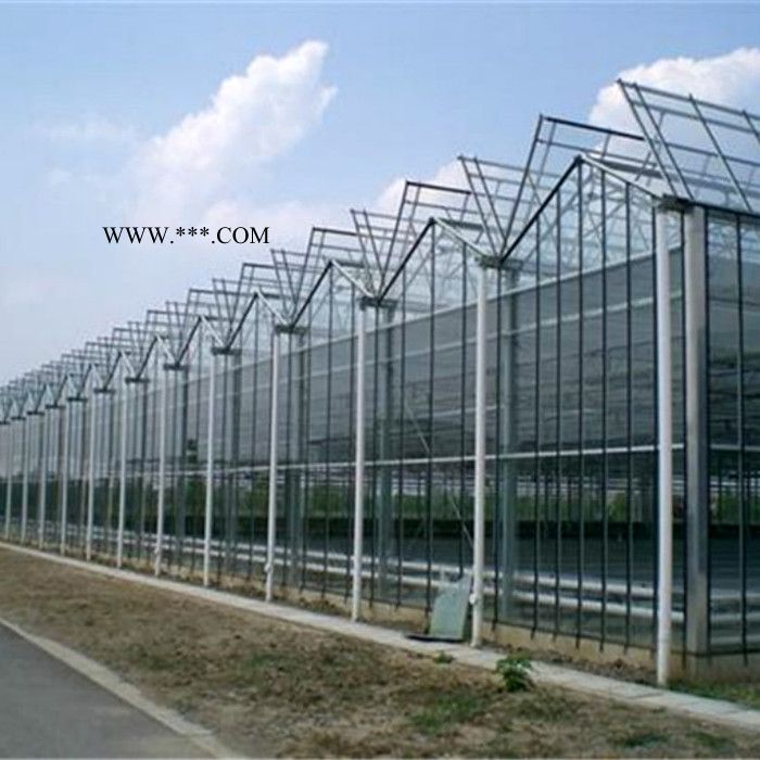 花卉温室 中空钢化玻璃温室  保温好光照足 智能种植温室
