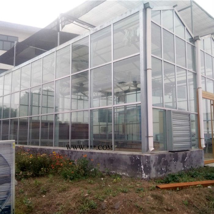 花卉温室 中空钢化玻璃温室  保温好光照足 智能种植温室图4