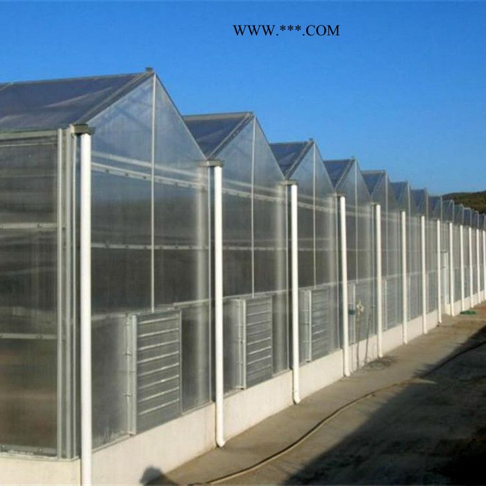 花卉温室 中空钢化玻璃温室  保温好光照足 智能种植温室图3