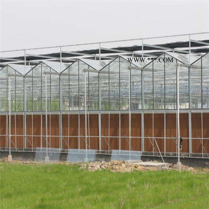 冬暖式玻璃温室建设 新型玻璃温室大棚 文洛玻璃温室养殖大棚