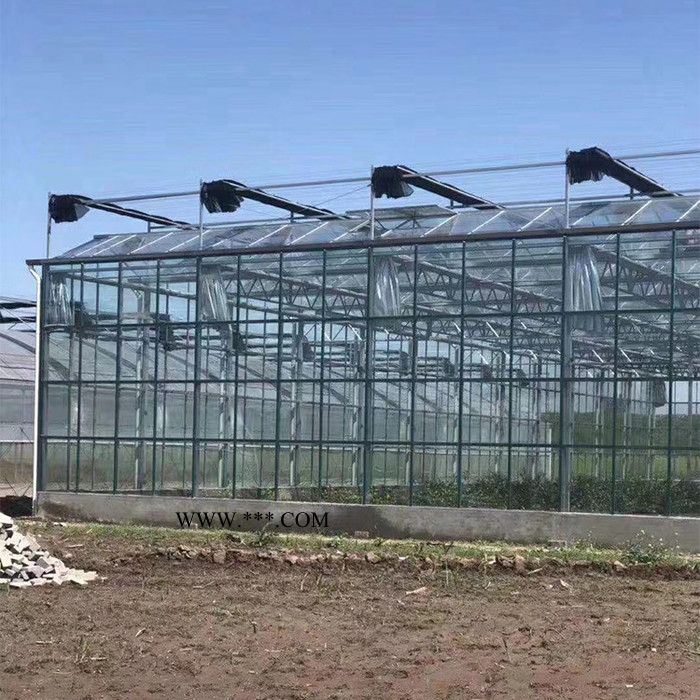 鼎荣型号齐全 玻璃温室建设 智能玻璃温室 玻璃温室大棚 天津玻璃温室图2