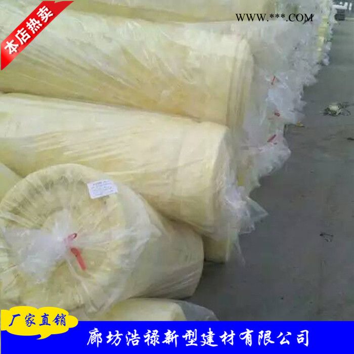 【浩禄】销售玻璃棉 吸音玻璃棉 玻璃棉卷毡价格 玻璃棉厂家图5