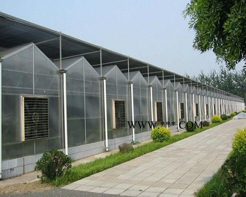 山东大楚温室玻璃温室玻璃温室温室工程玻璃温室图2