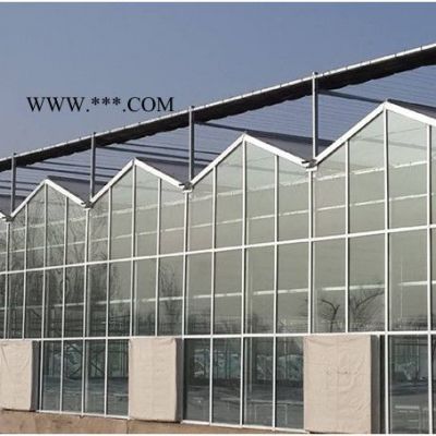 山东大楚温室玻璃温室玻璃温室温室工程玻璃温室