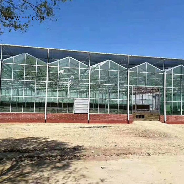 贝荣玻璃大棚设计安装 农用连栋玻璃温室 BR-06玻璃温室大棚图3