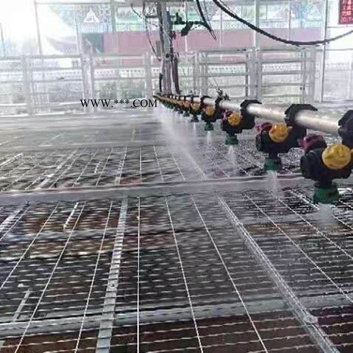 贝荣玻璃大棚设计安装 农用连栋玻璃温室 BR-06玻璃温室大棚图5