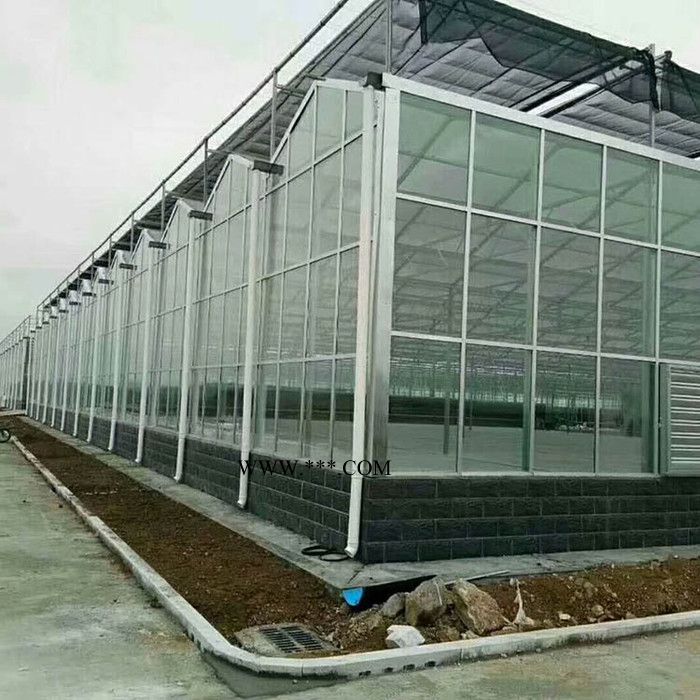 贝荣玻璃大棚设计安装 农用连栋玻璃温室 BR-06玻璃温室大棚图4