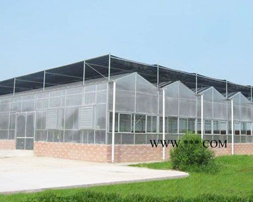 山东大楚温室玻璃温室大棚玻璃温室玻璃温室工程智能玻璃温室图4