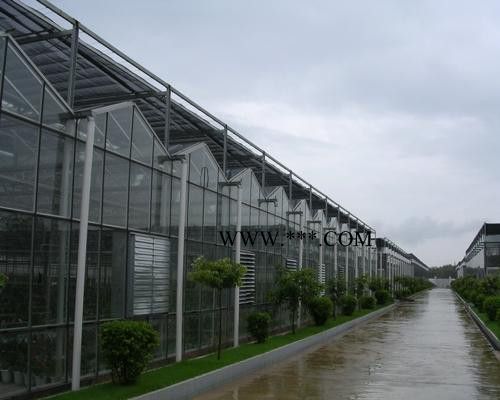 山东大楚温室玻璃温室大棚玻璃温室玻璃温室工程智能玻璃温室图1