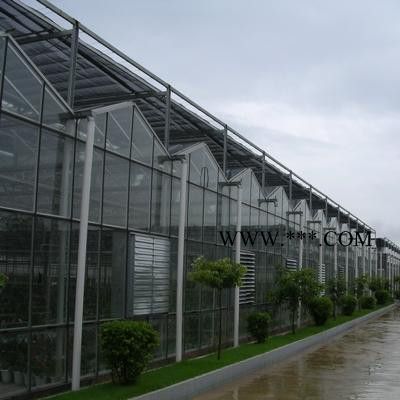 山东大楚温室玻璃温室大棚玻璃温室玻璃温室工程智能玻璃温室
