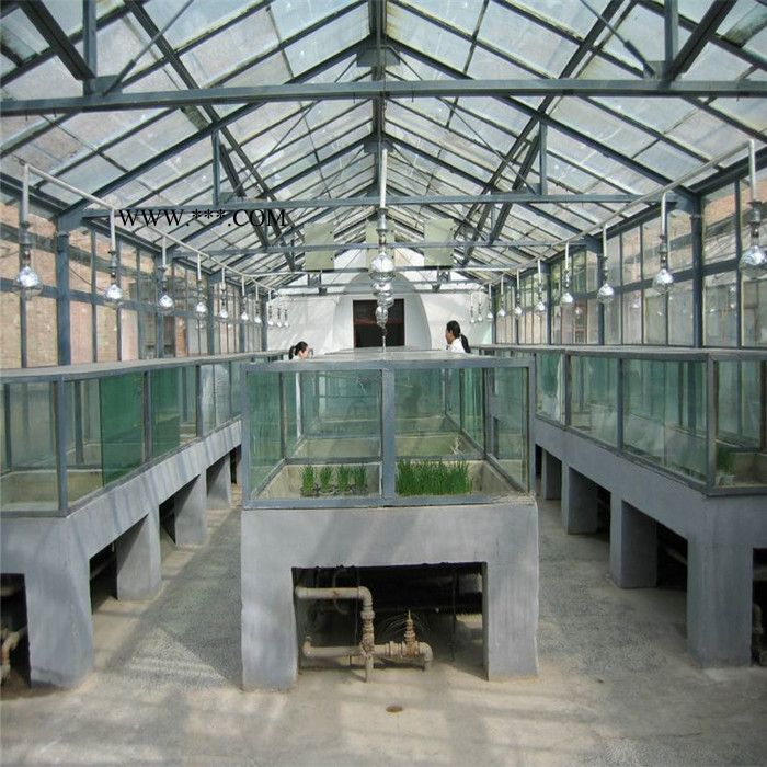 种植玻璃温室大棚 生态玻璃温室建设 玻璃温室造价图3