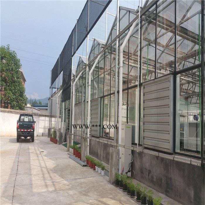 种植玻璃温室大棚 生态玻璃温室建设 玻璃温室造价图6