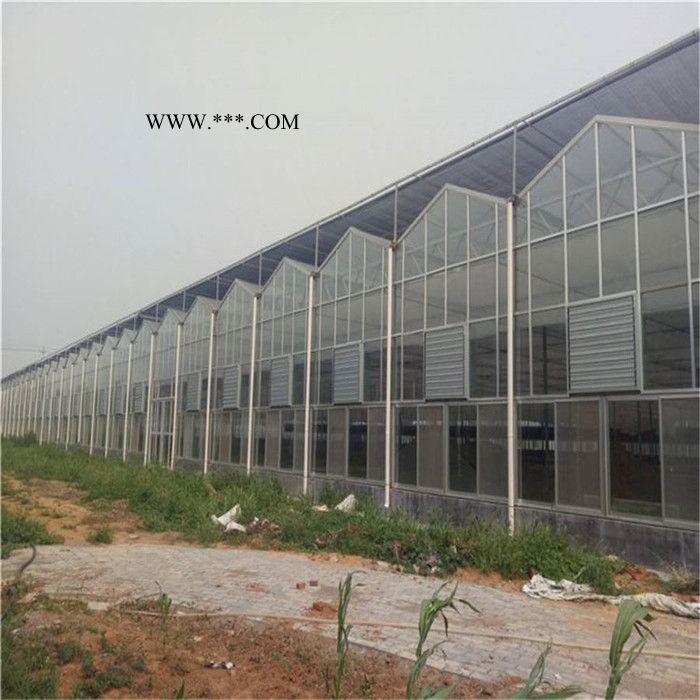 种植玻璃温室大棚 生态玻璃温室建设 玻璃温室造价图7