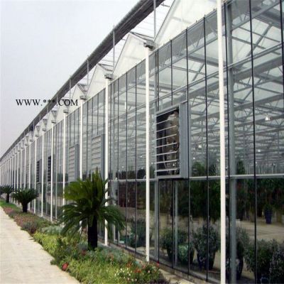 种植玻璃温室大棚 生态玻璃温室建设 玻璃温室造价