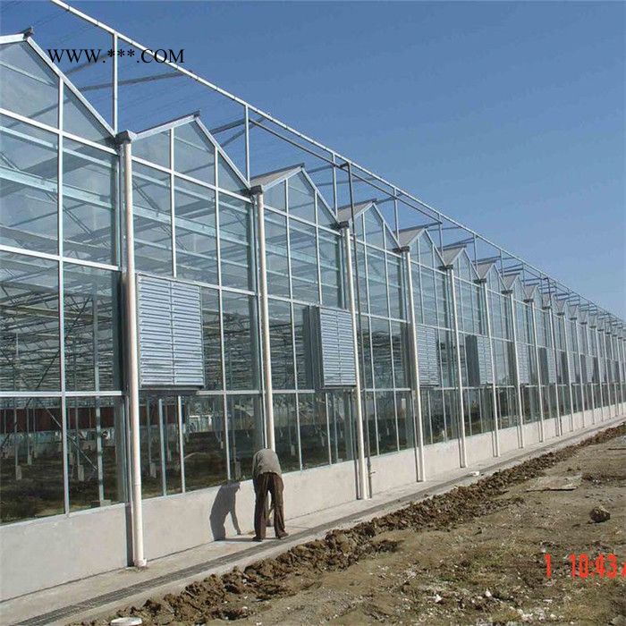 种植玻璃温室大棚 生态玻璃温室建设 玻璃温室造价图4