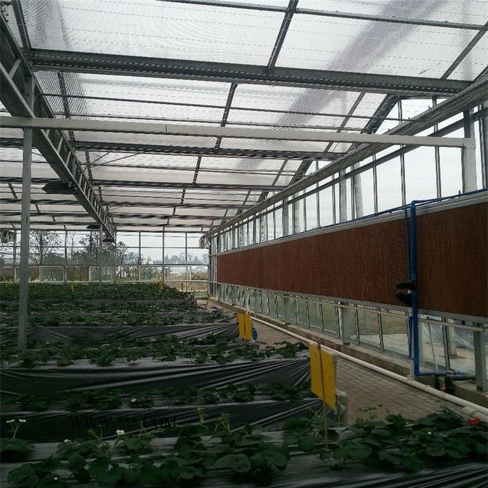 种植玻璃温室大棚 生态玻璃温室建设 玻璃温室造价图2