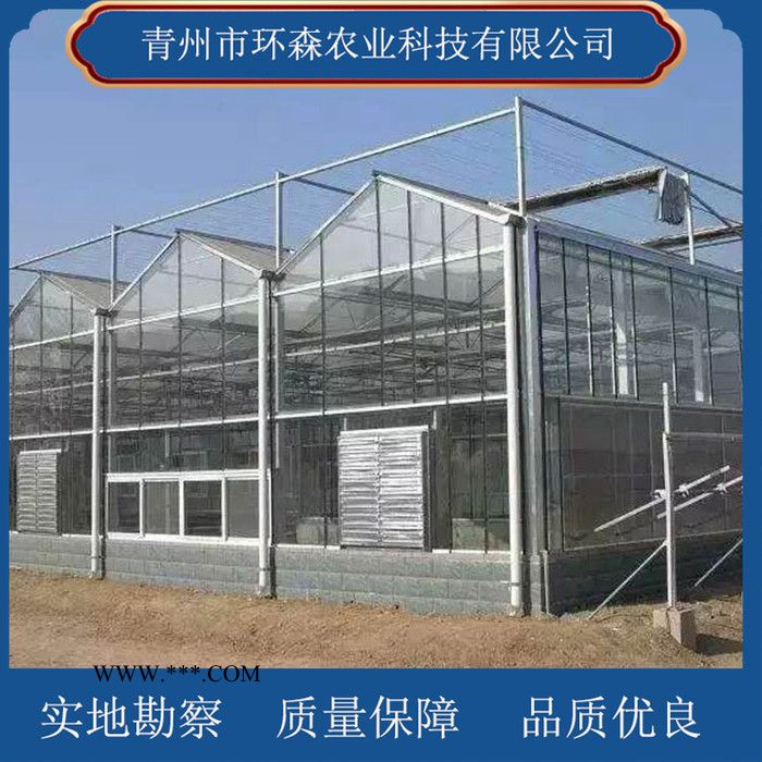 搭建玻璃温室-连栋玻璃温室 环森 智能玻璃温室大棚图6