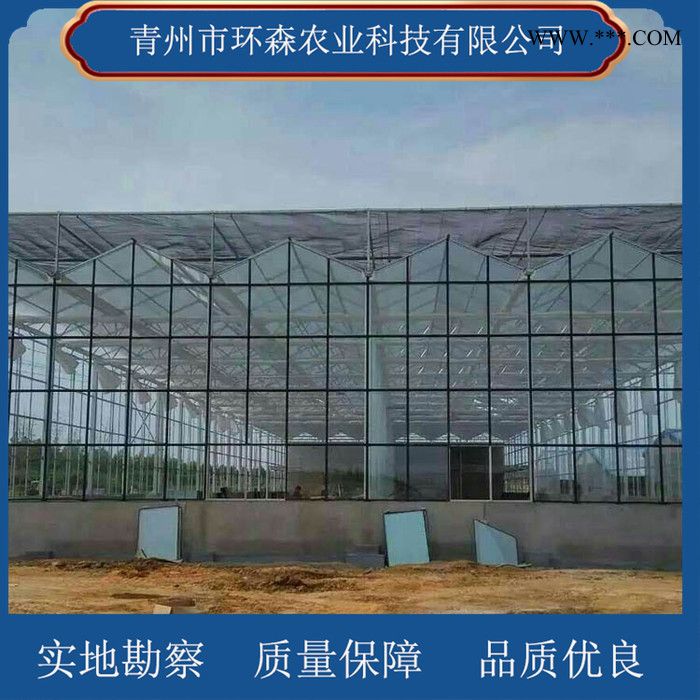 搭建玻璃温室-连栋玻璃温室 环森 智能玻璃温室大棚图9