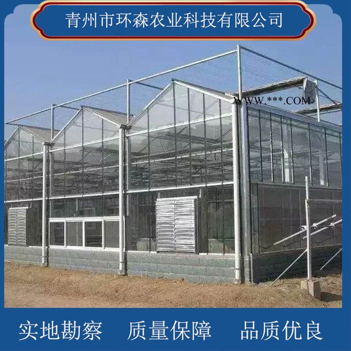 搭建玻璃温室-连栋玻璃温室 环森 智能玻璃温室大棚图13