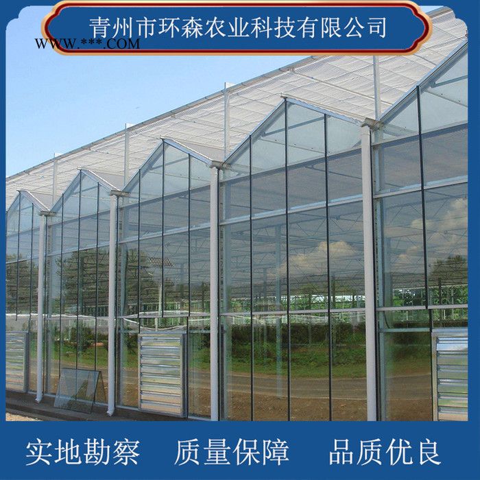 搭建玻璃温室-连栋玻璃温室 环森 智能玻璃温室大棚图4
