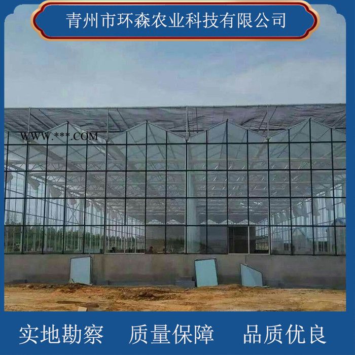 搭建玻璃温室-连栋玻璃温室 环森 智能玻璃温室大棚图12