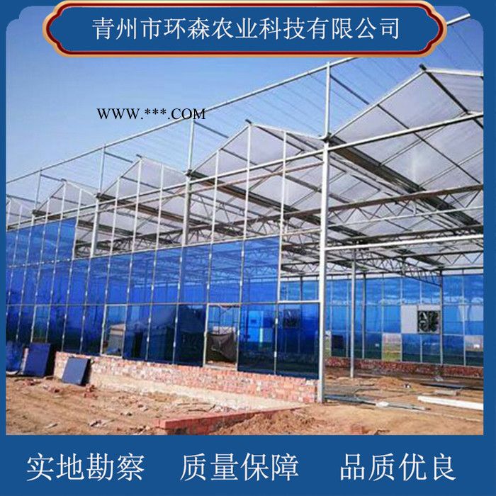 搭建玻璃温室-连栋玻璃温室 环森 智能玻璃温室大棚图7