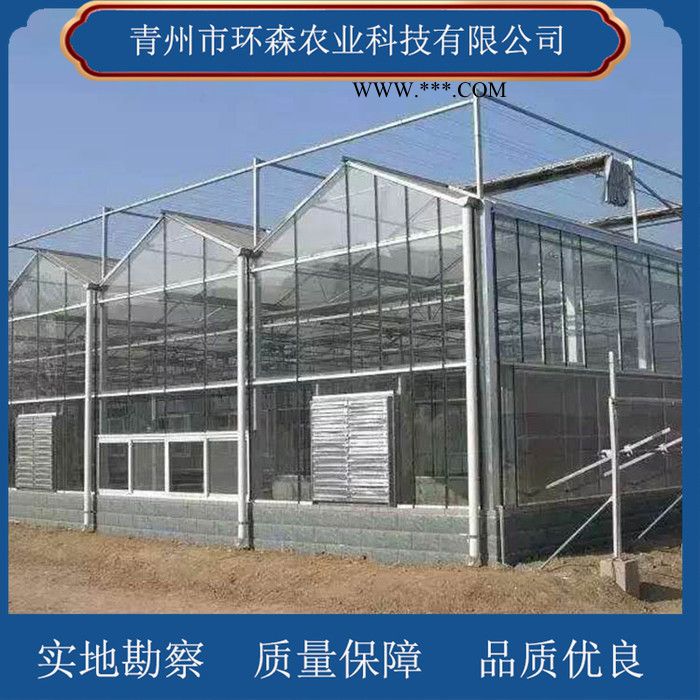 搭建玻璃温室-连栋玻璃温室 环森 智能玻璃温室大棚图3
