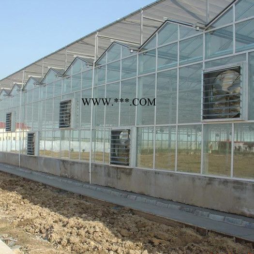 山东玻璃温室公司 连栋玻璃温室搭建 玻璃温室设计安装