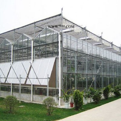 鑫宝金1 玻璃温室 智能玻璃温室 连栋玻璃温室 温室工程 玻璃温室承建