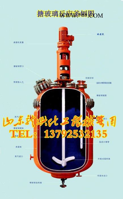 山东龙兴搪玻璃反应罐厂家 蒸汽加热搪玻璃反应罐 电加热搪玻璃反应罐图2