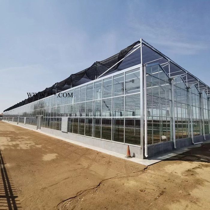 五丰 承建玻璃温室 连栋玻璃温室 玻璃大棚造价 智能玻璃温室